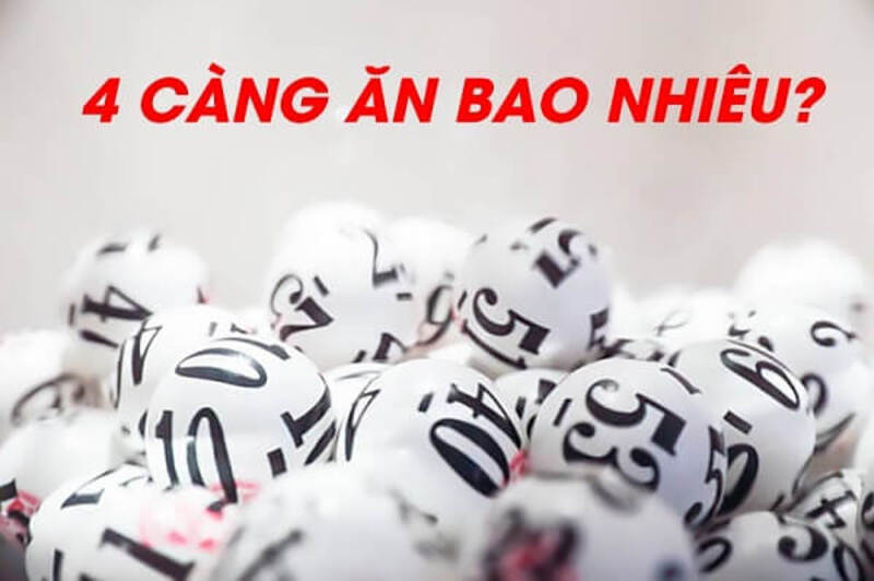 4 càng đề ăn bao nhiêu